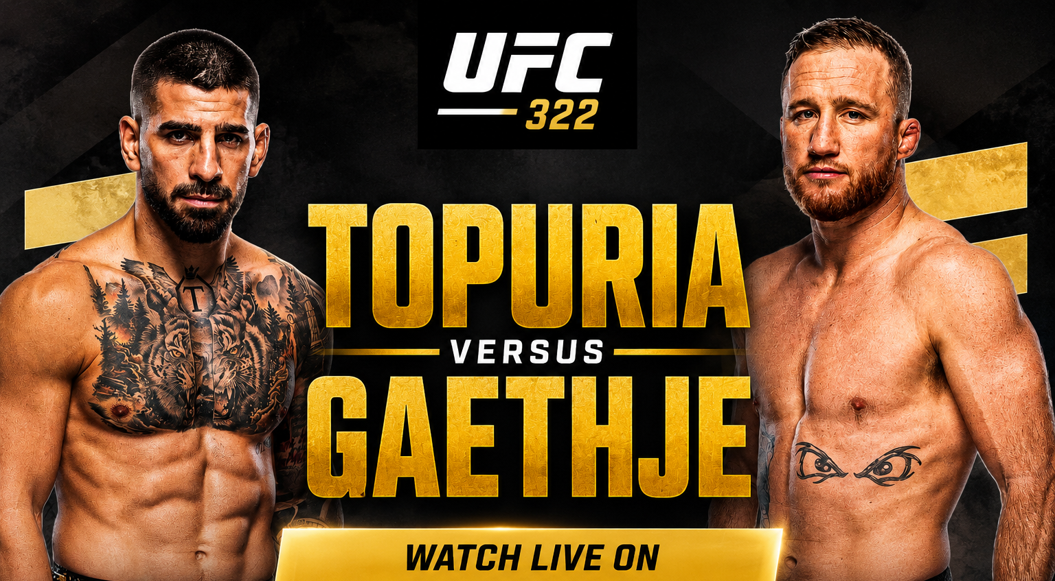 UFC MMA Boxe